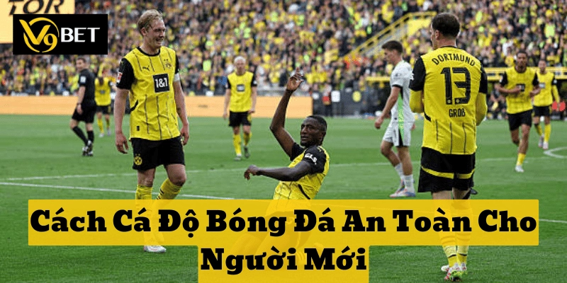 Hướng dẫn pháp lý trong Cách Cá Độ Bóng Đá An Toàn Cho Người Mới